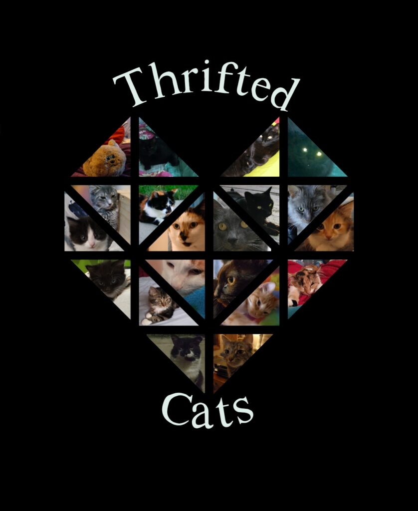 Thrifted Cats Shop